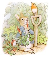 Illustration of a young rabbit wearing a jacket, happily eating carrots in a garden.