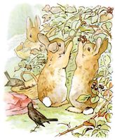 Illustration of three rabbits eating berries from a bush as a bird looks on.